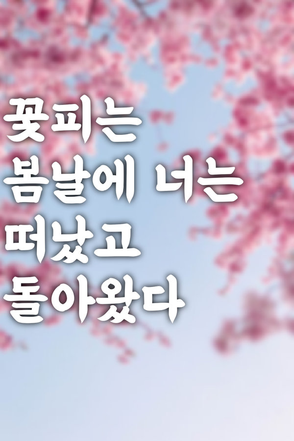 꽃피는 봄날에 너는 떠났고 돌아왔다 표지
