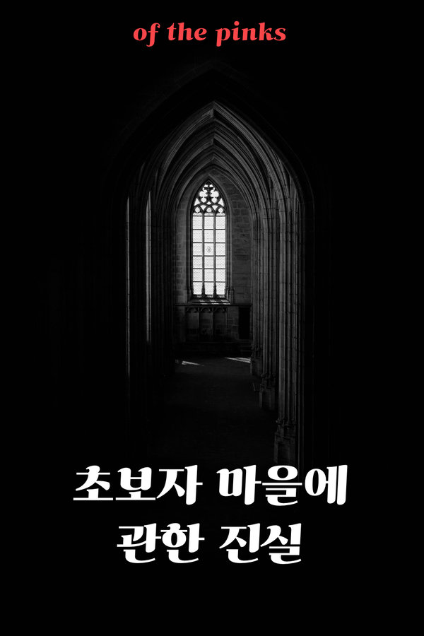 초보자 마을에 관한 진실 표지