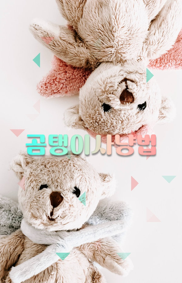 곰탱이 사냥법 (완결) 표지